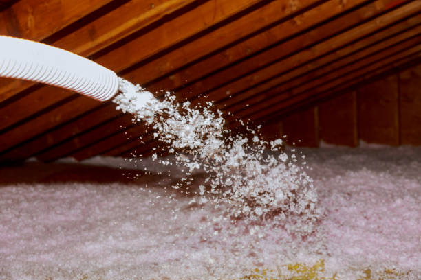 Insulation Inspection Services in Koontz Lake, IN